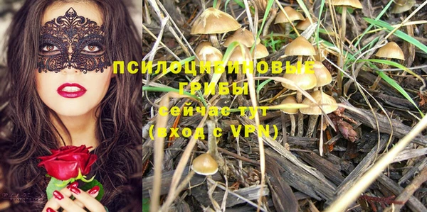 меф Алзамай
