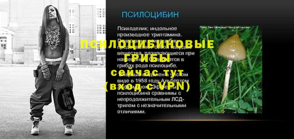 гашик Абинск