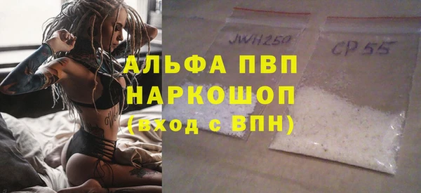 хмурый Абаза
