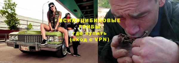хмурый Осинники