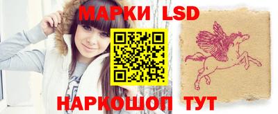 спиды Новодвинск