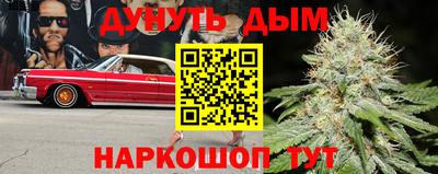 спиды Новодвинск