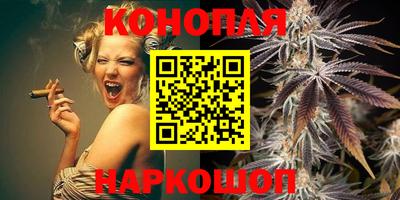 спиды Новодвинск
