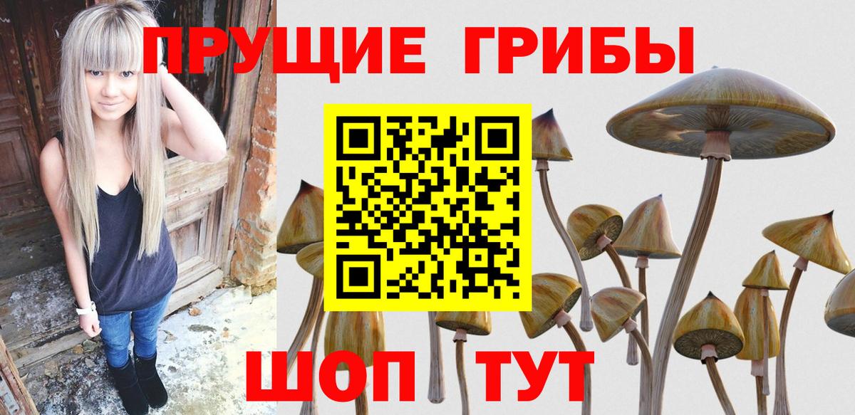 Галлюциногенные грибы Magic Shrooms  купить закладку  Псилоцибиновые грибы Magic Shrooms  Уфа  Вход с VPN 