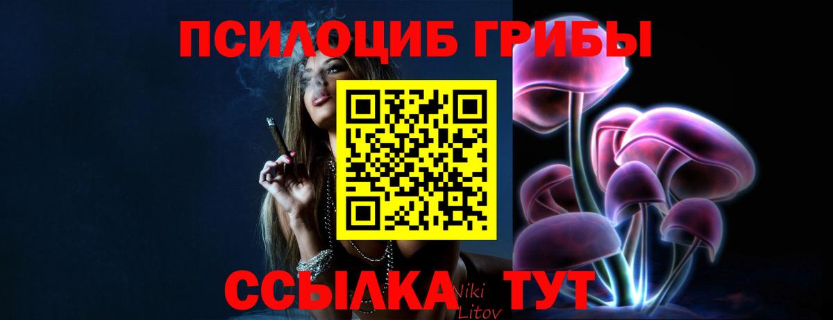 Псилоцибиновые грибы мицелий Уфа
